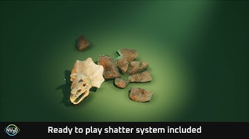 Shatter Stone: Fossils