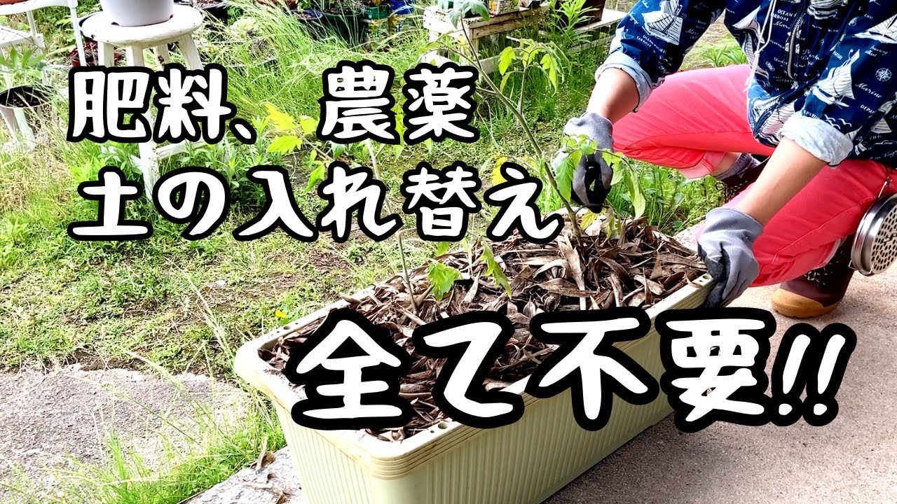 土作り革命2】誰でも簡単！肥料も農薬も土の入れ替えも不要！菌の力で