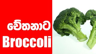 Broccoli චේතනා