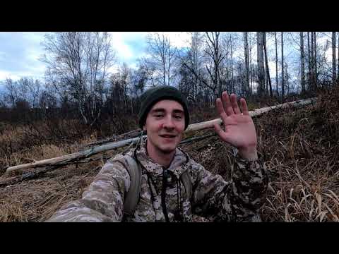 Охота на бобров!Начинаю выставлять капканы. - YouTube