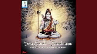 Vishwanadhashtakam