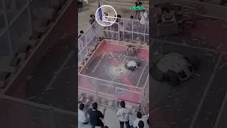 How Are Robots Changing Modern Combat? 🤔