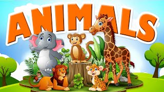 Why Do We Need Animals? | The Animals Around Us | Save Animals | Educational Videos For Kids