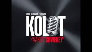 Video thumbnail of "Yaakov Shwekey - Kolot - Kamu Baneha"