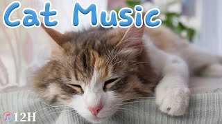 20 Hours-Heal your cats anxiety - cats favorite music, sleep music for cats, stress relief music