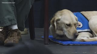 Mutts with a Mission: Jett the dog joins Suffolk school to help students, staff