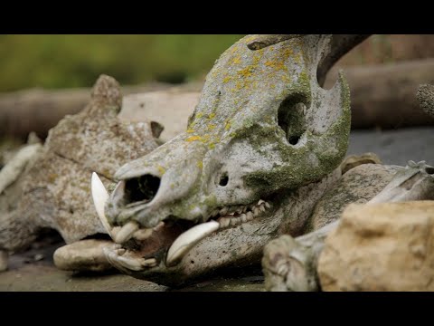 Видео: Каменни брод (област Самара): описание и история