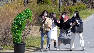 Crazy Scares with Bushman Prank !!