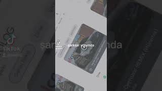 En Güzel Şarkılar Resimi