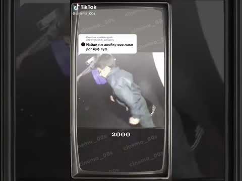 Диджей Аллигатор