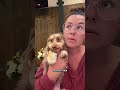 Problematic mini of the week! #dachsundpuppy #dachsundlove