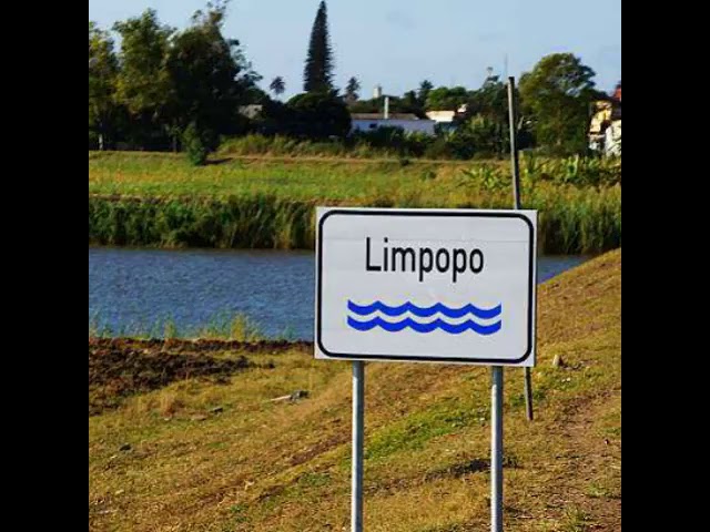 Road to Limpopo - Kosha class=
