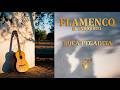 BOCA PEGADITA - EL ENRIQUITO – | Canción Flamenca con Guitarra Española | Videoclip Oficial