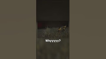 No context Gage moments on dbd #dbd #shorts #dbdshorts #dbdmoments #dbdclips #dbdswf #dbdsurvivor