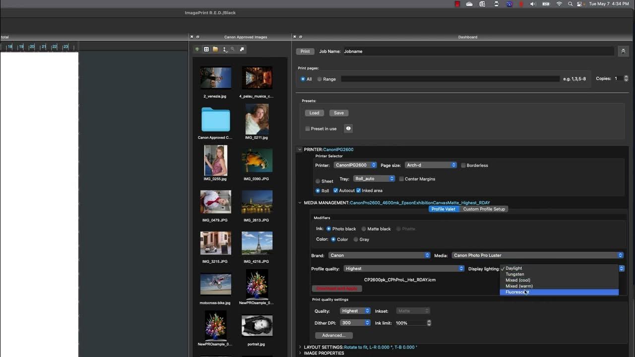 Making your first print with ImagePrint Black. YouTube