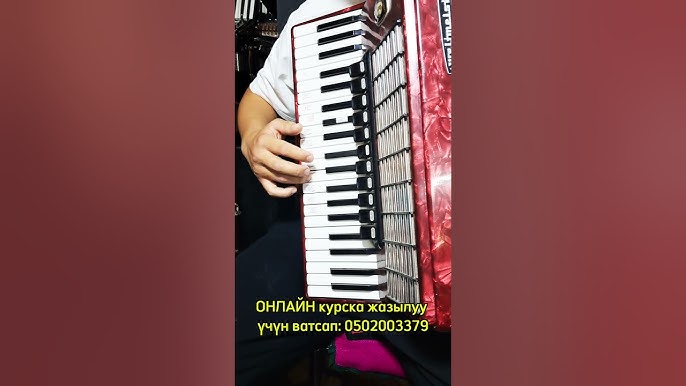 Стриптизаторлар интернеттегі порноны қоздырады