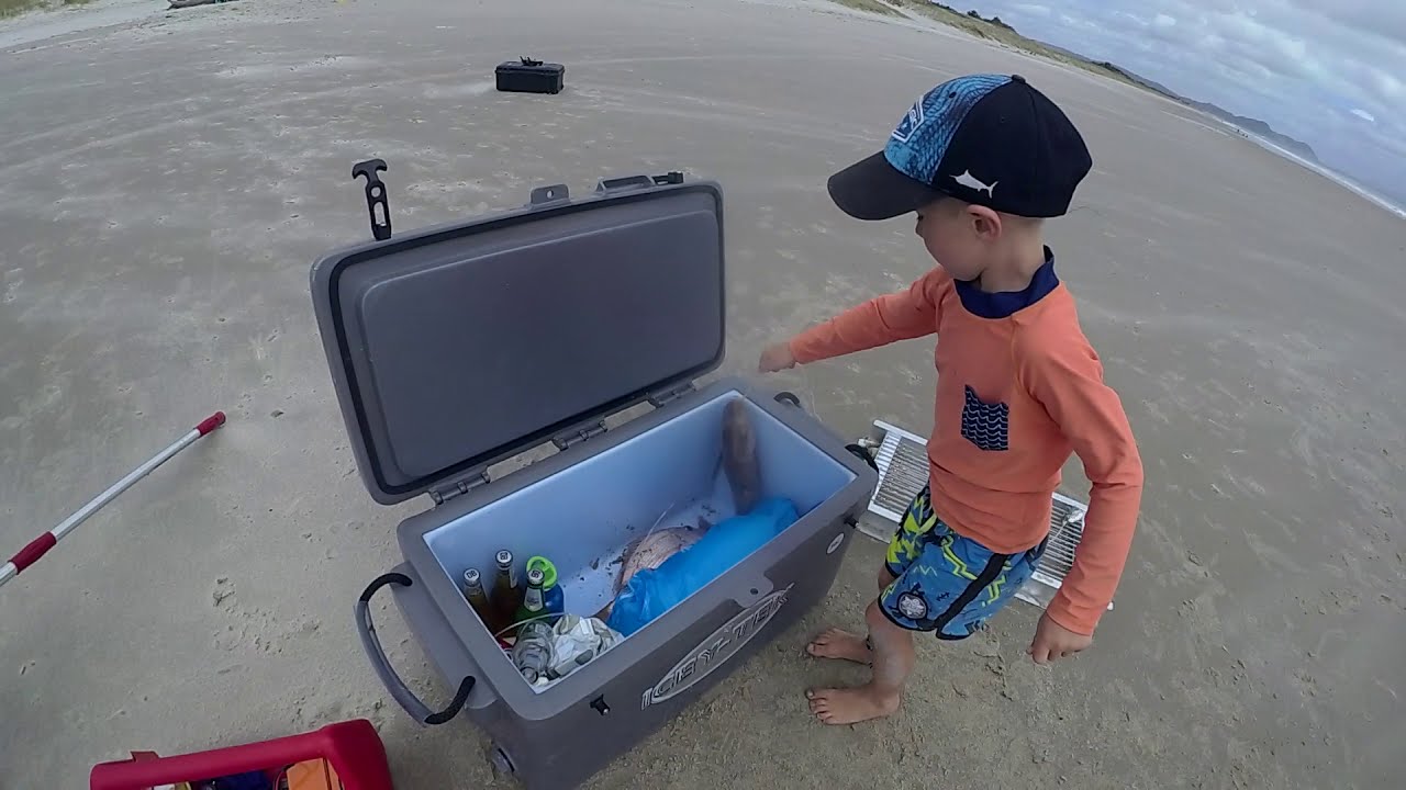 День Хищника Контики