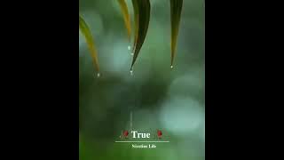 Ｎｉｃｏｔｉｎｅ l̸i̸f̸e̸ツ   Feel This Lines 💔🥀🥀