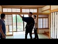 VLOG: Покупаем Дом в Японии