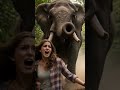 When a Wild Elephant Started Chasing Her Down