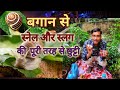 पैर पौधे मे स्नैल और स्लग से छुटकारा कैसे पाएं / Control of Snails and Slugs in your garden