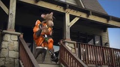 Catseye Pest Control Youtube