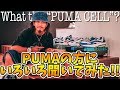 【スニーカー】PUMAの方に詳しく聞いてきました!!