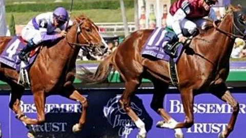 2008 Breeders' Cup Mile - Horse Lovers