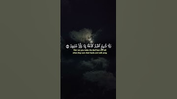 تلاوة عطرة للشيخ ياسر الدوسري "اللهم ارحم واغفر لمن ينشر القرأن الكريم #القرآن_الكريم