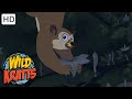 Wild Kratts |Secret Furry Creature Powers |NATURE