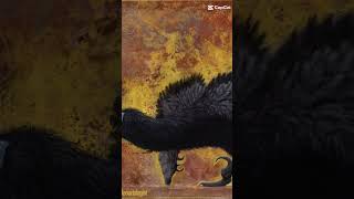 Hawk claw x white eagle @Cyclops.The.Utahraptor_666