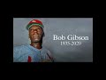 Mundo Béisbol, Bob Gibson, su semblanza
