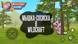 Мышка-Сосиска в WildCraft!