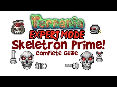 Terraria All Bosses In Order Expert Mode Guide & Fights! (Easiest