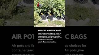 Air Pots vs Fabric Bags 🌱 Which Wins? #AirPots #FabricGrowBags #ContainerGardening #FigTrees