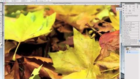 How To Make a Gallery Wrap Canvas Print - Canvas Press