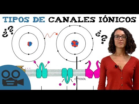 Video: ¿Cuáles son los tipos de canales iónicos?