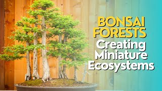 Bonsai Forests: Creating Miniature Ecosystems