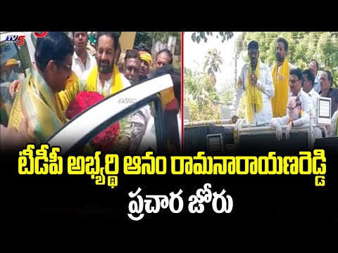 TDP Candidate Anam Ramanarayana Reddy Election Campaign | Chandrababu | TV5 - TV5NEWS