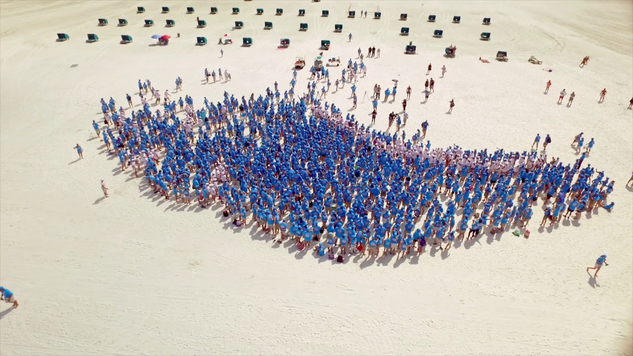 Largest human image of a seashell world record set in Florida YouTube