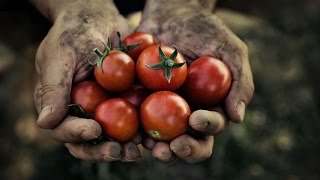 Excelencia Agrícola, una alternativa sostenible para alimentar a Guatemala