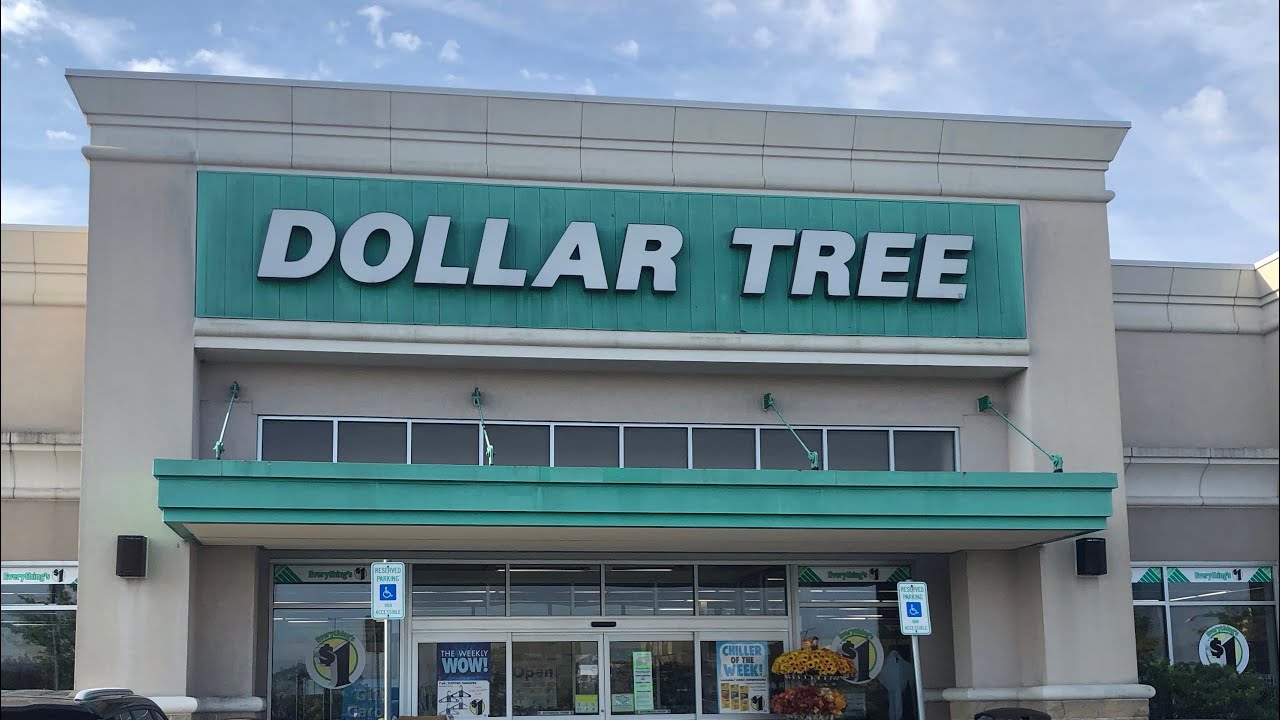 Dollar Tree Haul - August 21, 2020 (No More Limits) - YouTube