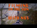 Filming in the Sun with NGS - Pollards &amp; Conifer Takedown 🎥🌳🌲