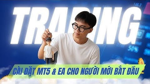 Hướng Dẫn Cài Đặt EA Trên MT5 Đơn Giản Nhanh Chóng