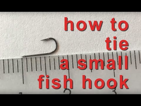 Small fish hook 