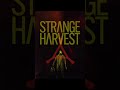 strange harvest ( 2024 ) best crime thriller movie | #shorts #horrorstories #movieupdates