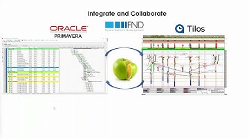 Oracle Primavera P6  and Trimble TILOS Integration