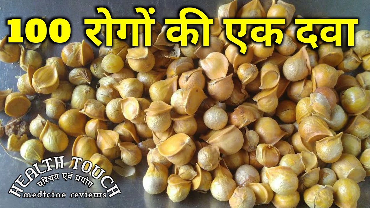 Pahadi lahsun Kashmiri Lahsun लहसुन पहाड़ी लहसन कश्मीरी YouTube