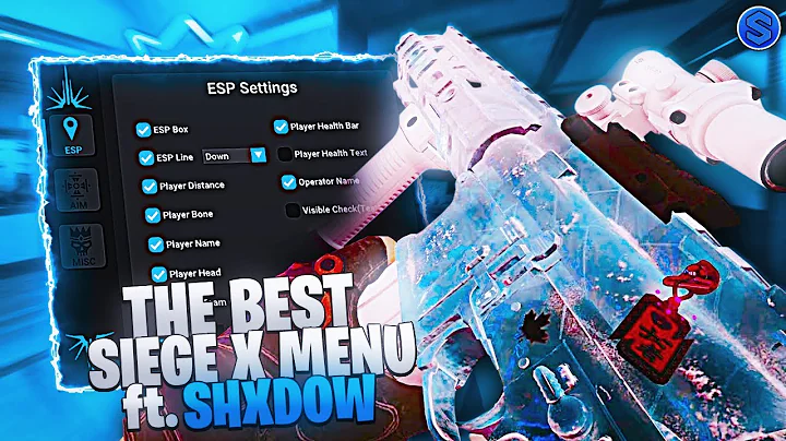 I Used THE BEST Rainbow Six Siege Cheats 🎯