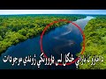 Amazon jungle in pashto  do you know            